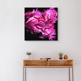 Fuchsia Peonies Original Studio Art Canvas Print - Canvas Wrap Wall Art - Designer Home Decor - Marie Livet