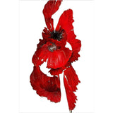 Original Digital Studio Art - Red Flower - Giclée Print - Marie Livet