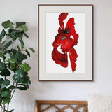 Original Digital Studio Art - Red Flower - Giclée Print - Marie Livet