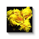 Yellow Peonies Original Studio Art Canvas Print - Canvas Wrap Wall Art - Designer Home Decor - Marie Livet