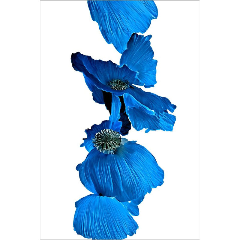 Original Digital Studio Art - Blue Floral Rising - Giclée Print - Marie Livet